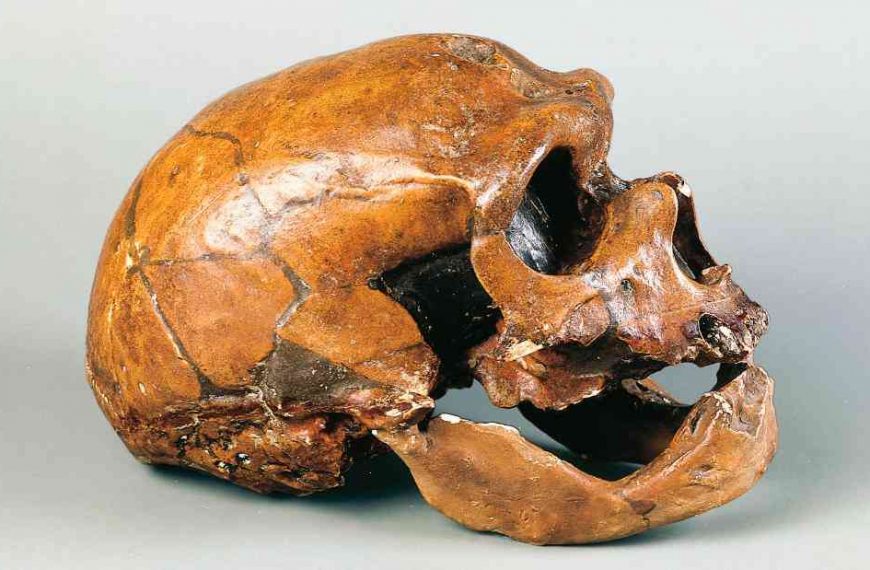 Like Ebola, common trichinosis appears to have been present in Neanderthals thousands of years ago